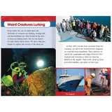 I Spy & Secrets of the Deep  Level 27-28 - Modern Teaching Aids NZ