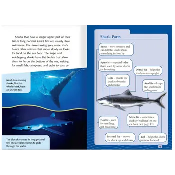Spoiled by Oil & Truth About Sharks 25-26 - Modern Teaching Aids NZ