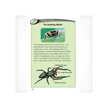 All about Arthropods  Levels- 29-30 - Modern Teaching Aids NZ
