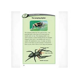 All about Arthropods  Levels- 29-30 - Modern Teaching Aids NZ