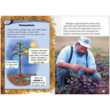 From Cane to Crystals  Levels- 27-28 - Modern Teaching Aids NZ