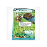 Lake Life  Level 25-26 - Modern Teaching Aids NZ
