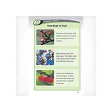 Beating the Frost  Level 25-26 - Modern Teaching Aids NZ