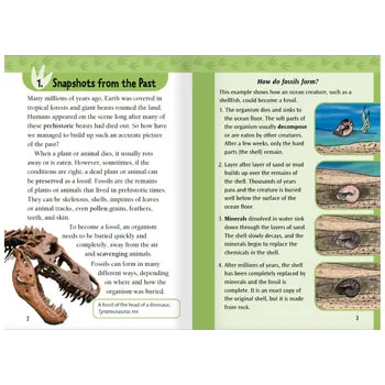 Digging up the Past & Fossil Hunters Level 31 - Modern Teaching Aids NZ