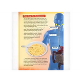 You Are What You Eat - Modern Teaching Aids NZ