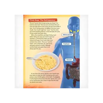 You Are What You Eat - Modern Teaching Aids NZ