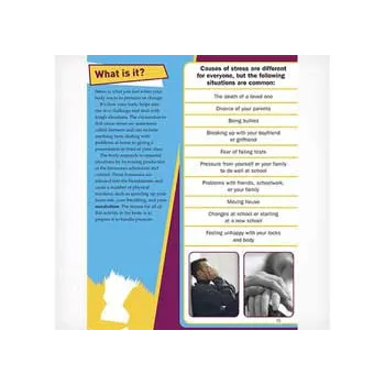 Adrenaline - Modern Teaching Aids NZ