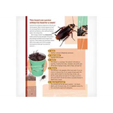 Survivors - Modern Teaching Aids NZ