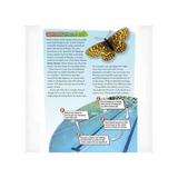 That's Lucky - Modern Teaching Aids NZ