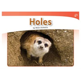 Holes Level 3-5 - Modern Teaching Aids NZ