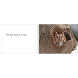 Holes Level 3-5 - Modern Teaching Aids NZ