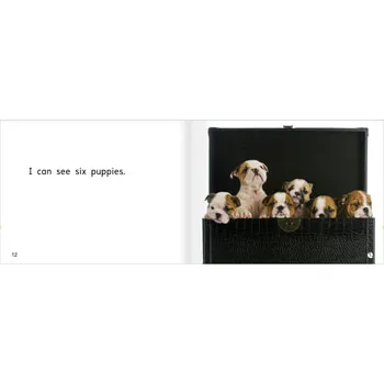 I Can See Level 3-5 - Modern Teaching Aids NZ