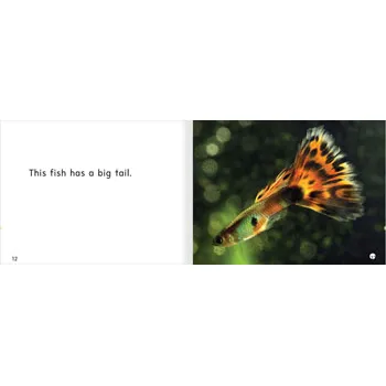 This Fish Levels 1-2 - Modern Teaching Aids NZ