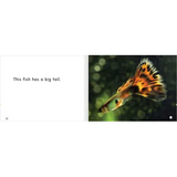 This Fish Levels 1-2 - Modern Teaching Aids NZ