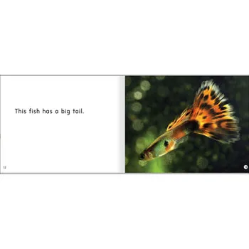 This Fish Levels 1-2 - Modern Teaching Aids NZ