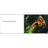 This Fish Levels 1-2 - Modern Teaching Aids NZ