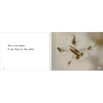 It Can Float Level 3-5 - Modern Teaching Aids NZ