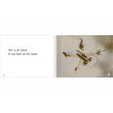 It Can Float Level 3-5 - Modern Teaching Aids NZ