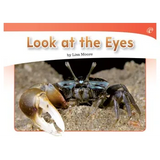 Look at the Eyes Level 3-5 - Modern Teaching Aids NZ