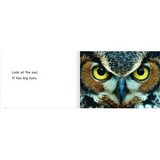 Look at the Eyes Level 3-5 - Modern Teaching Aids NZ