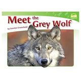 Meet the Grey Wolf Level 12-14 - Modern Teaching Aids NZ