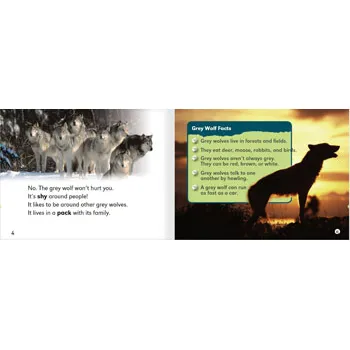 Meet the Grey Wolf Level 12-14 - Modern Teaching Aids NZ