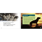 Meet the Grey Wolf Level 12-14 - Modern Teaching Aids NZ