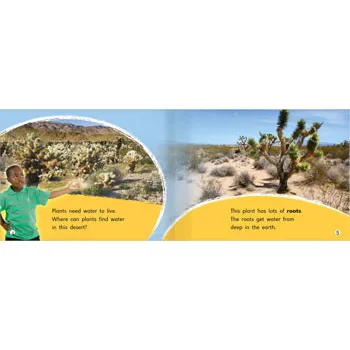 Welcome to the Desert Level 6-8 - Modern Teaching Aids NZ