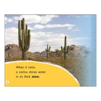 Welcome to the Desert Level 6-8 - Modern Teaching Aids NZ