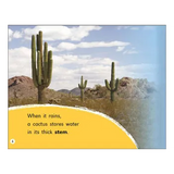 Welcome to the Desert Level 6-8 - Modern Teaching Aids NZ