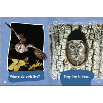 Where Do Animals Live? Level 3-5 - Modern Teaching Aids NZ