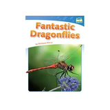Fantastic Dragonflies Level 21-22 - Modern Teaching Aids NZ