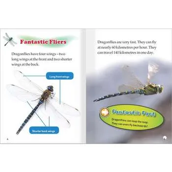 Fantastic Dragonflies Level 21-22 - Modern Teaching Aids NZ
