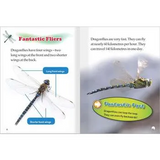 Fantastic Dragonflies Level 21-22 - Modern Teaching Aids NZ