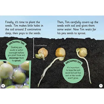 Sustainability: Growing Your Own Big Book - Modern Teaching Aids NZ