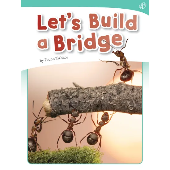 Let's Build a Bridge - Modern Teaching Aids NZ