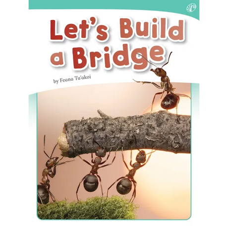 Let's Build a Bridge - Modern Teaching Aids NZ