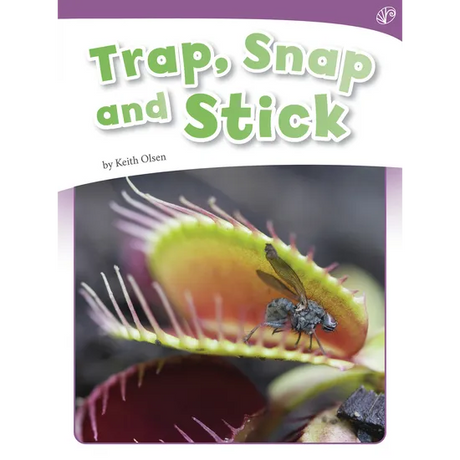 Trap,Snap and Stick - Modern Teaching Aids NZ