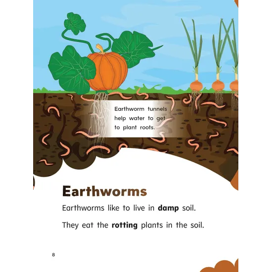 The Clean-up Crew - Modern Teaching Aids NZ