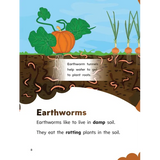 The Clean-up Crew - Modern Teaching Aids NZ