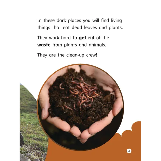 The Clean-up Crew - Modern Teaching Aids NZ