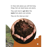 The Clean-up Crew - Modern Teaching Aids NZ