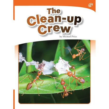 The Clean-up Crew - Modern Teaching Aids NZ