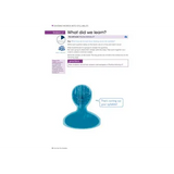 Sort Out Your Syllables and Grapheme Cards - Modern Teaching Aids NZ