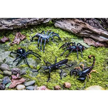 Australian Insect & Spider Set - 5 Pieces - Modern Teaching Aids NZ