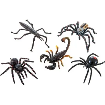 Australian Insect & Spider Set - 5 Pieces - Modern Teaching Aids NZ