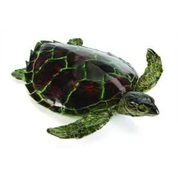 Olive Ridley Sea Turtle - 45cm - Modern Teaching Aids NZ