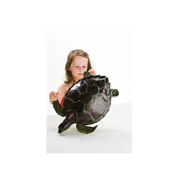 Olive Ridley Sea Turtle - 45cm - Modern Teaching Aids NZ