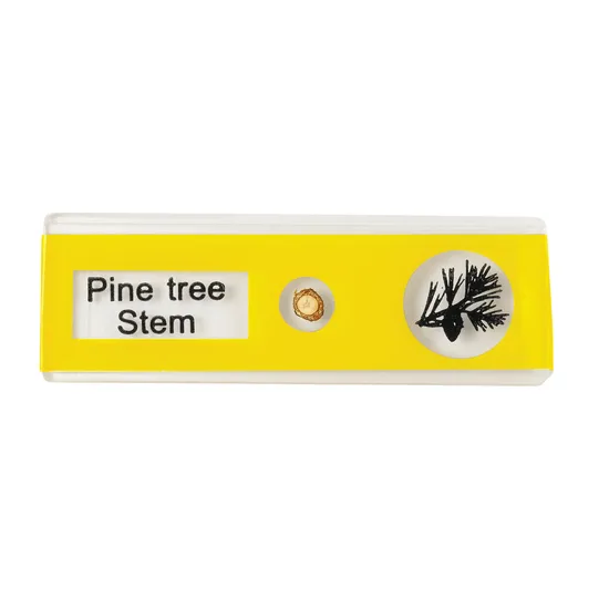 Prepared Slides - Plants PK12 - Modern Teaching Aids NZ