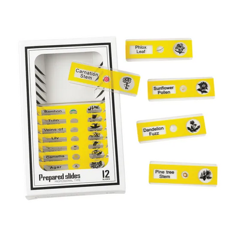 Prepared Slides - Plants PK12 - Modern Teaching Aids NZ